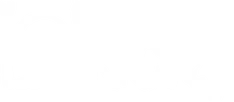 lowkick